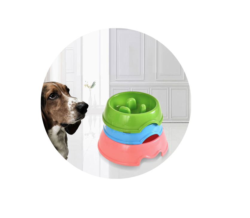 Ciotola anti voracità